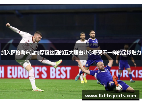 加入萨格勒布迪纳摩粉丝团的五大理由让你感受不一样的足球魅力