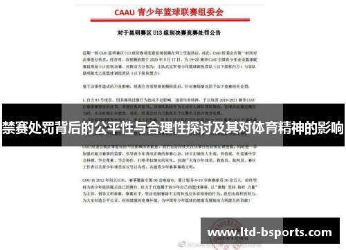 禁赛处罚背后的公平性与合理性探讨及其对体育精神的影响