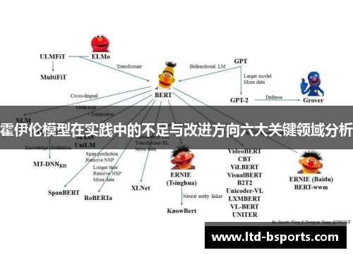 霍伊伦模型在实践中的不足与改进方向六大关键领域分析