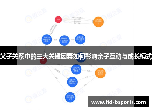 父子关系中的三大关键因素如何影响亲子互动与成长模式