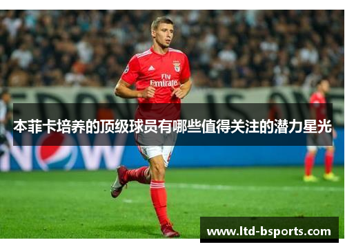 本菲卡培养的顶级球员有哪些值得关注的潜力星光