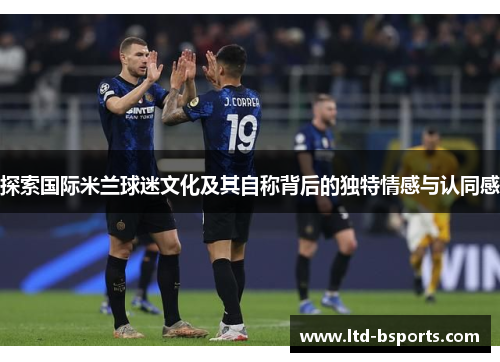 探索国际米兰球迷文化及其自称背后的独特情感与认同感