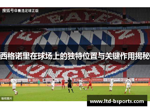 西格诺里在球场上的独特位置与关键作用揭秘